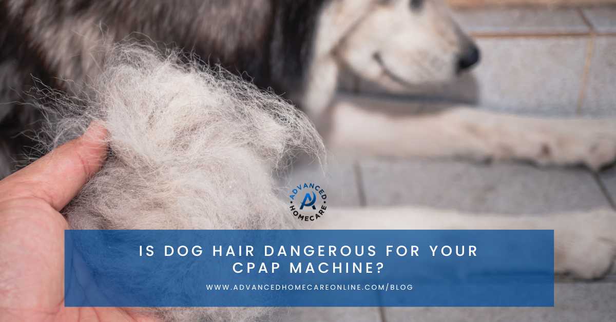 Is dog hair dangerous for your CPAP machine? ADVANCED HOMECARE